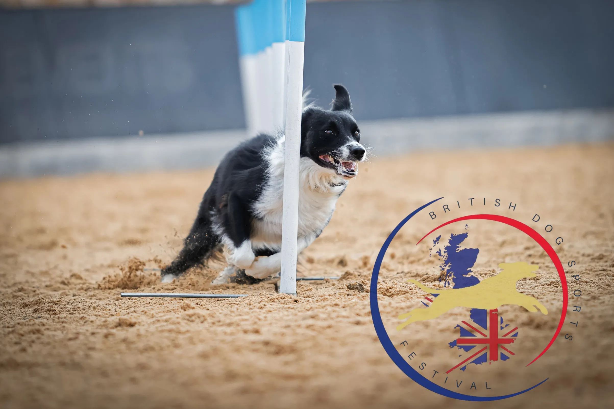 Agility